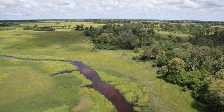 Khwai Private Reserve 1