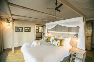 Old Drift Lodge Rooms
