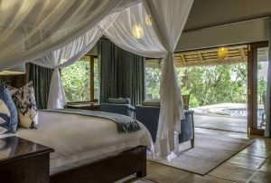 Savanna Lodge View From Room