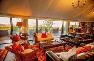 The Elephant Camp Lounge