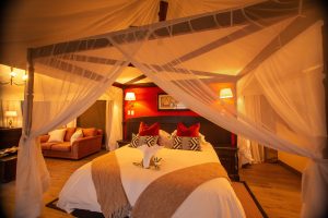 The Elephant Camp Suites