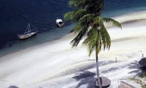 Mafia Island Beach
