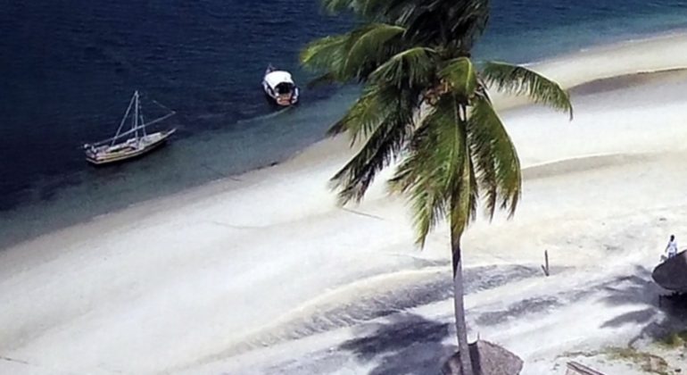 Mafia Island Beach