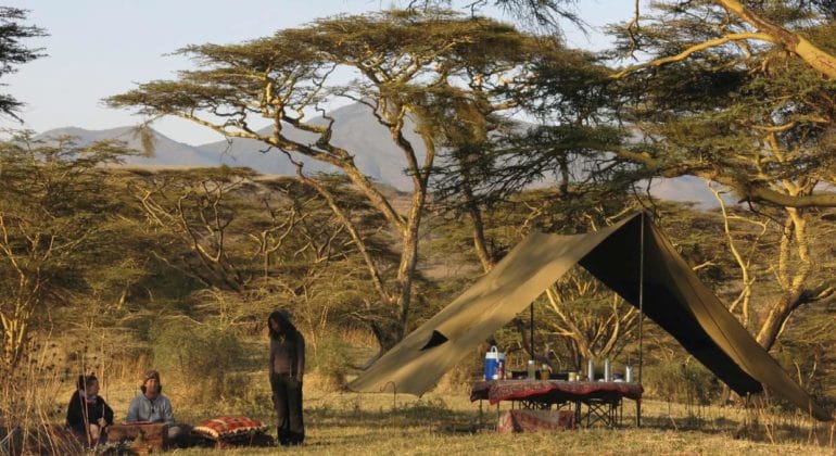 Fly Camp