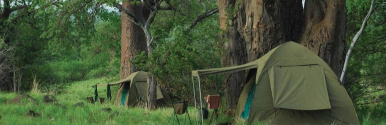 Fly Camp Tents