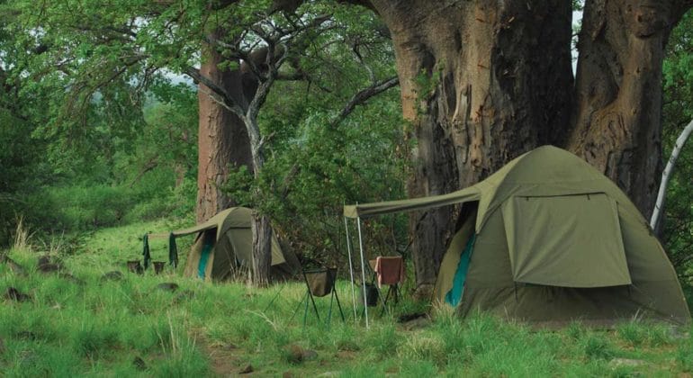 Fly Camp Tents