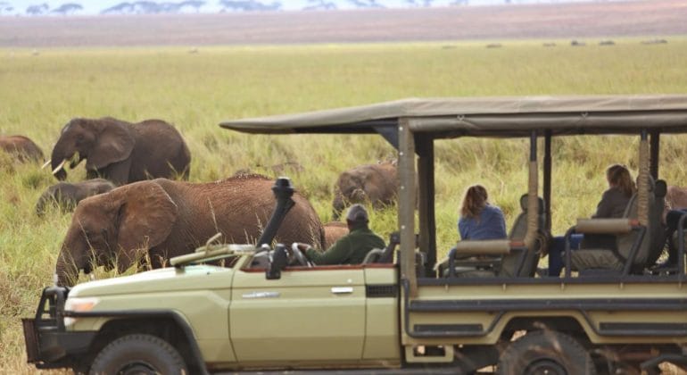 Game Drive