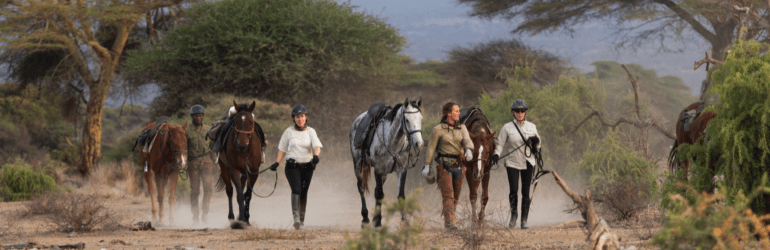 Horseback Safari