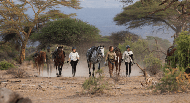 Horseback Safari