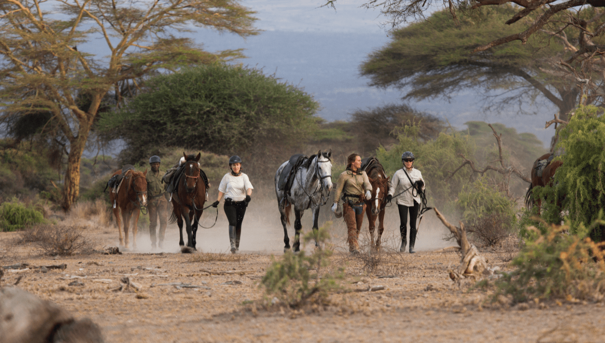 Horse riding Tanzania - Go on a horseback safari in Tanzania