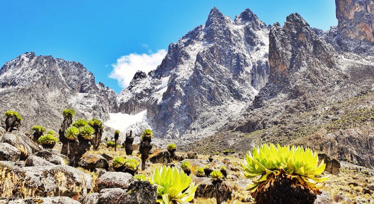 Mt Kenya