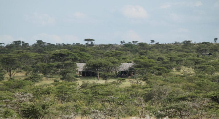 Naboisho Camp View