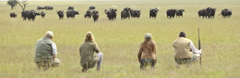 Ol Pejeta Wildlife