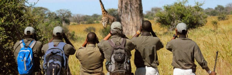 Walking Safari