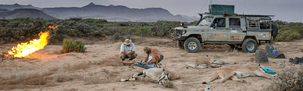 Human Wildlife Conflict