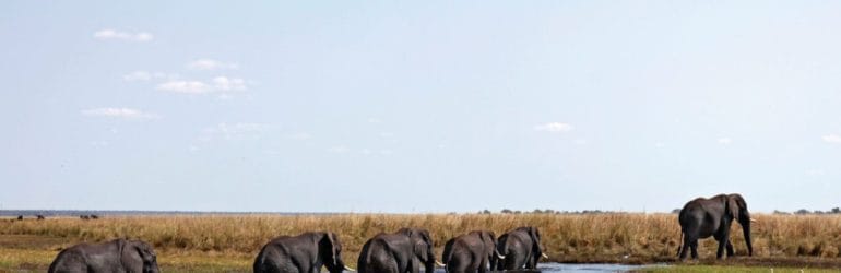 Andbeyond Botswana