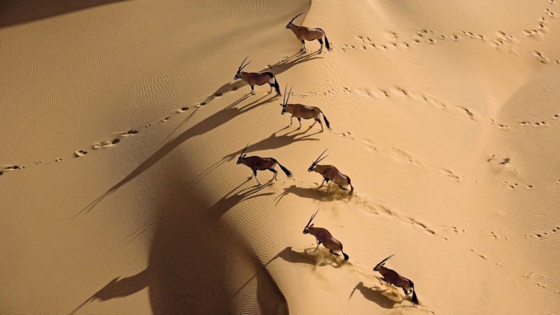 Andbeyond Namibia