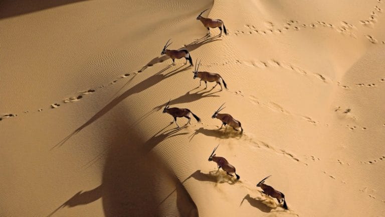 Andbeyond Namibia