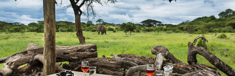 Great Plains Kenya