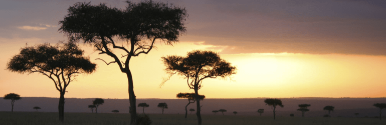 Lahia Tented Lodge