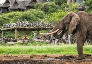 Ol Donyo Lodge Hide