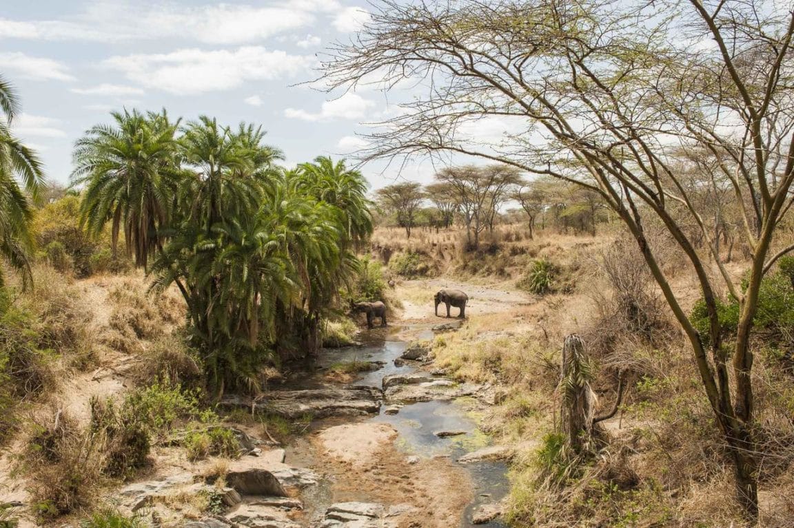 Kubu Kubu Tented Camp