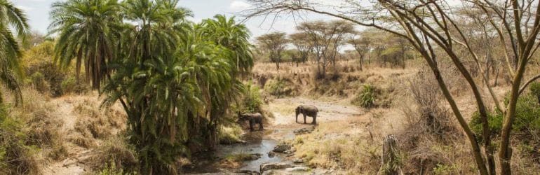 Kubu Kubu Tented Camp