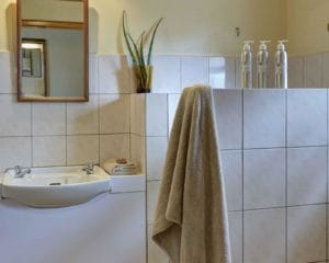 Ndutu Safari Lodge Bathroom