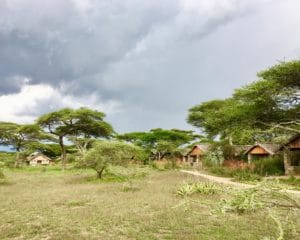 Ndutu Safari Lodge Cottages