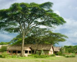 Ndutu Safari Lodge Outdoors