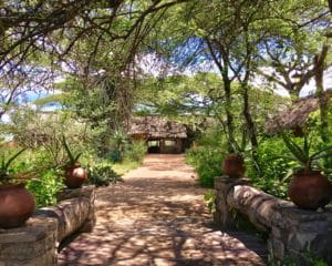 Ndutu Safari Lodge Reception