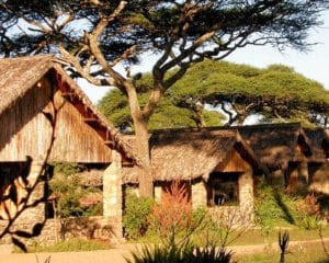 Ndutu Safari Lodge View