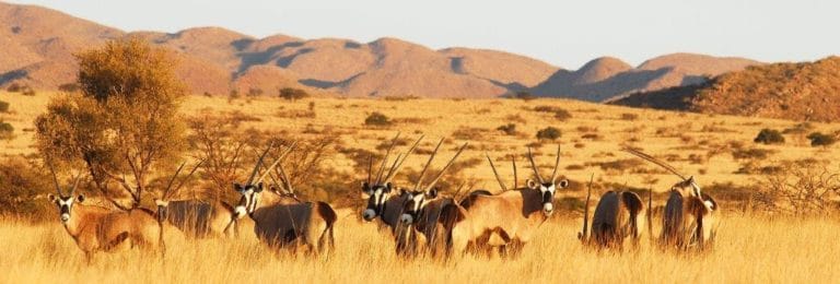 Tswalu 1