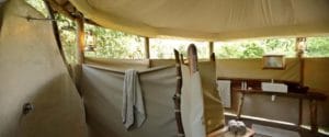 Crocodile Nest Bathroom
