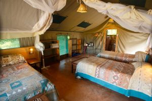 Flatdogs Camp Family Tent