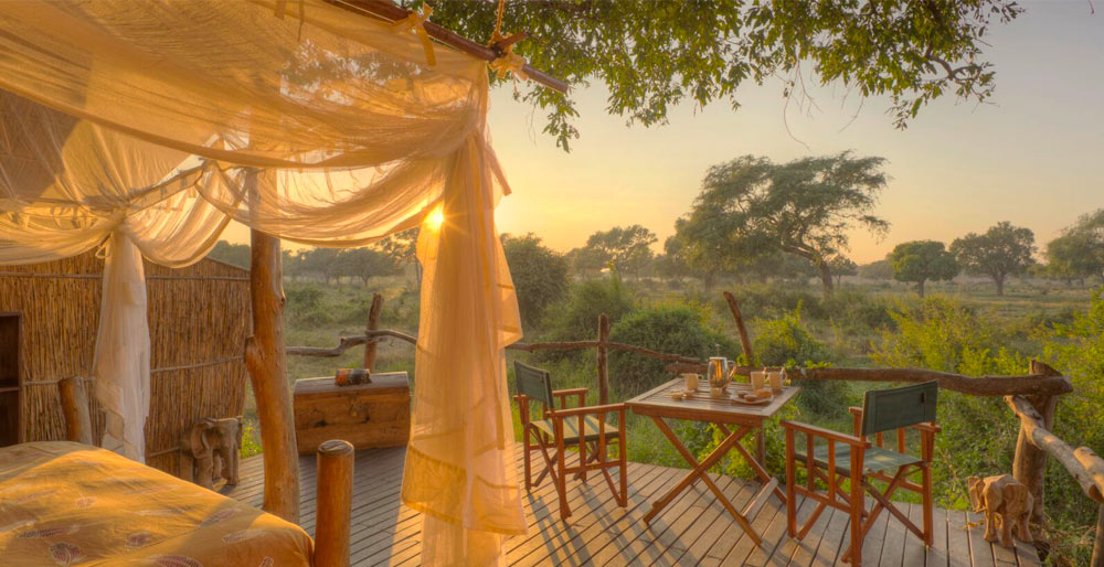 Flatdogs Camp Jackalberry Treehouse, South Luangwa National Park, Zambia