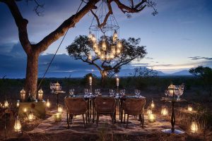 Royal Malewane Bush Dining