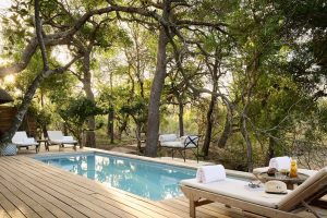 Royal Malewane Pool