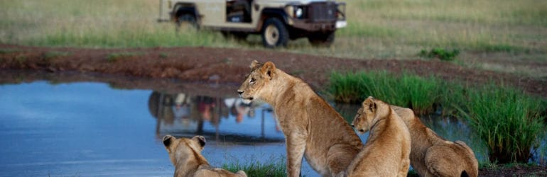 Singita Tanzania