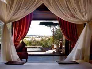 Amakhala Bush Lodge View From Room