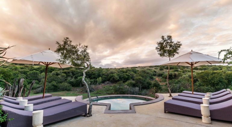 Amakhala Safari Lodge Pool