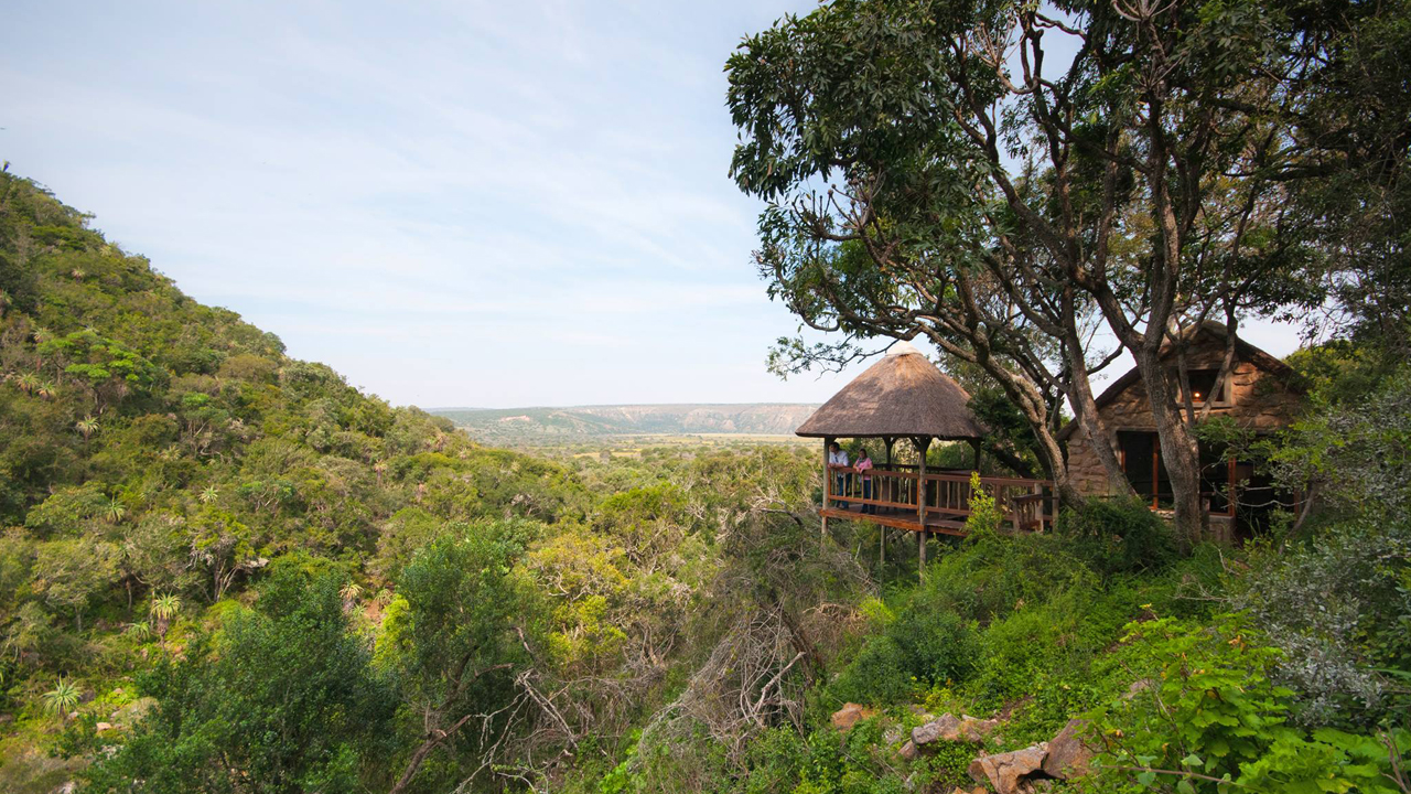 Amakhala Game Reserve