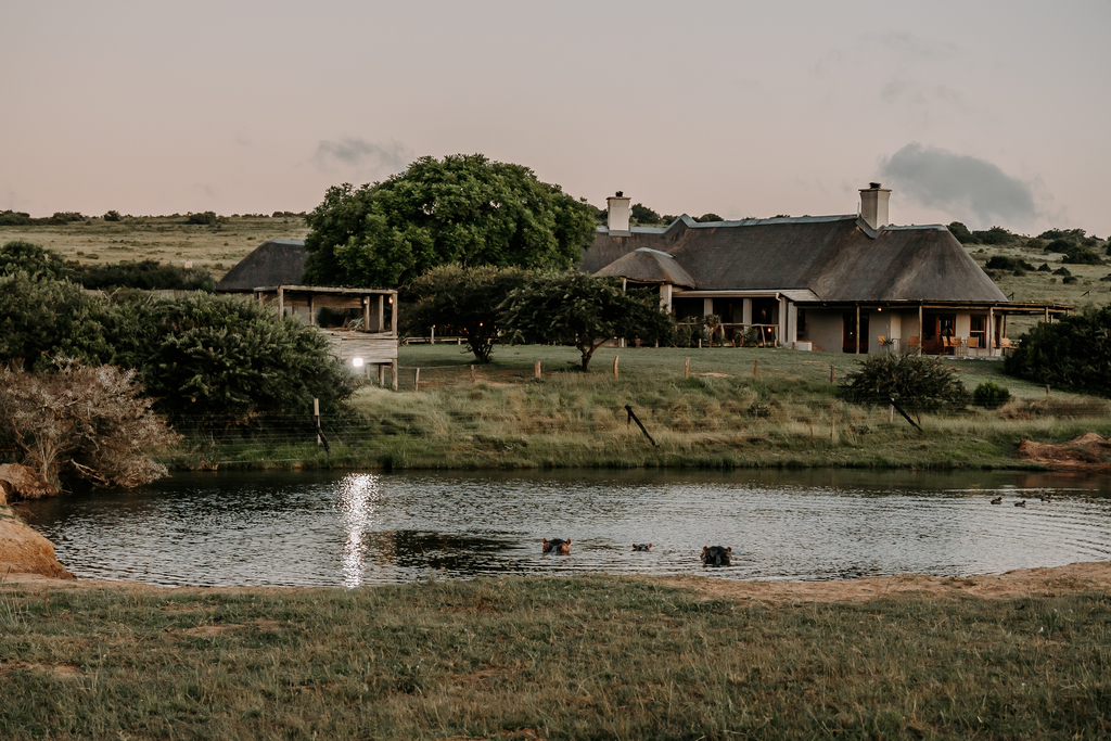 Amakhala Hlosi Game Lodge, South Africa
