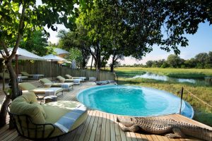 Khwai Leadwood Pool Area