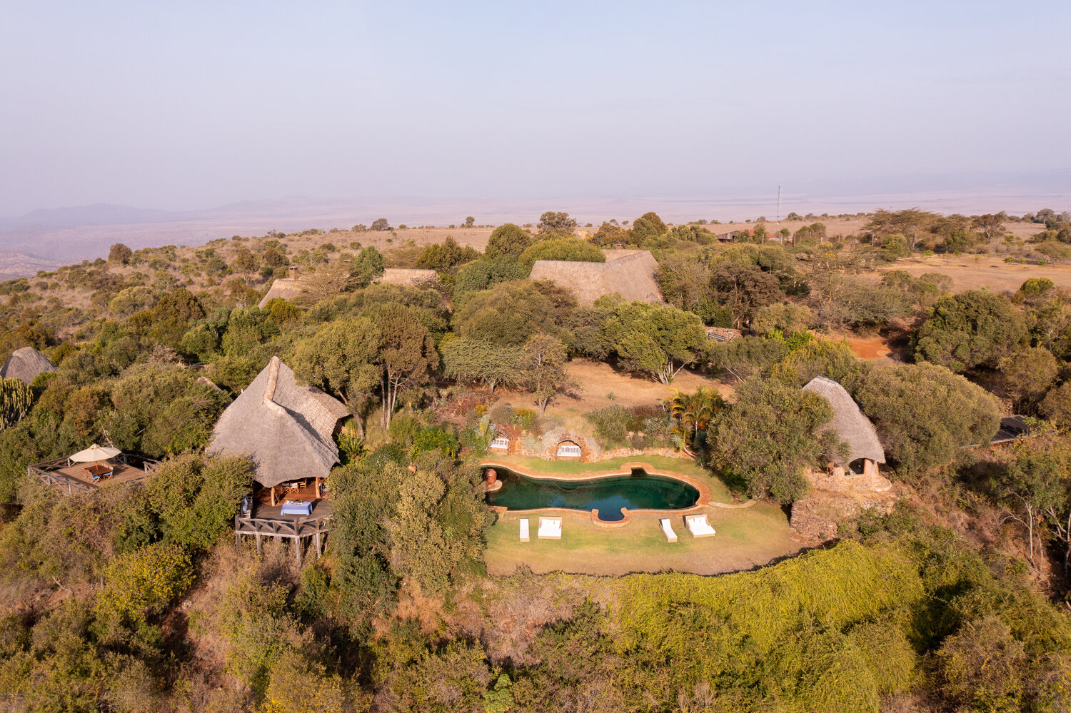 Safari and Conservation Company