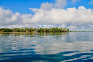 Manda Bay View