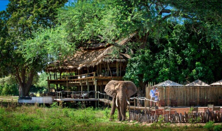 Nyamatusi Camp View
