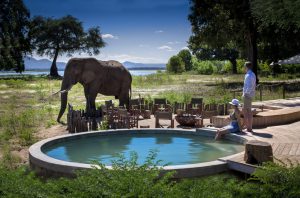 Nyamatusi Camp Waterhole