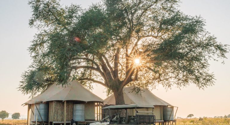 Nyamatusi Mahogany Camping