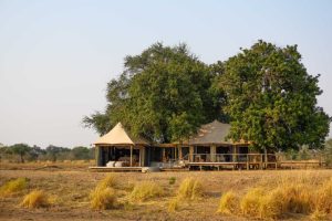 Nyamatusi Mahogany Family Tent